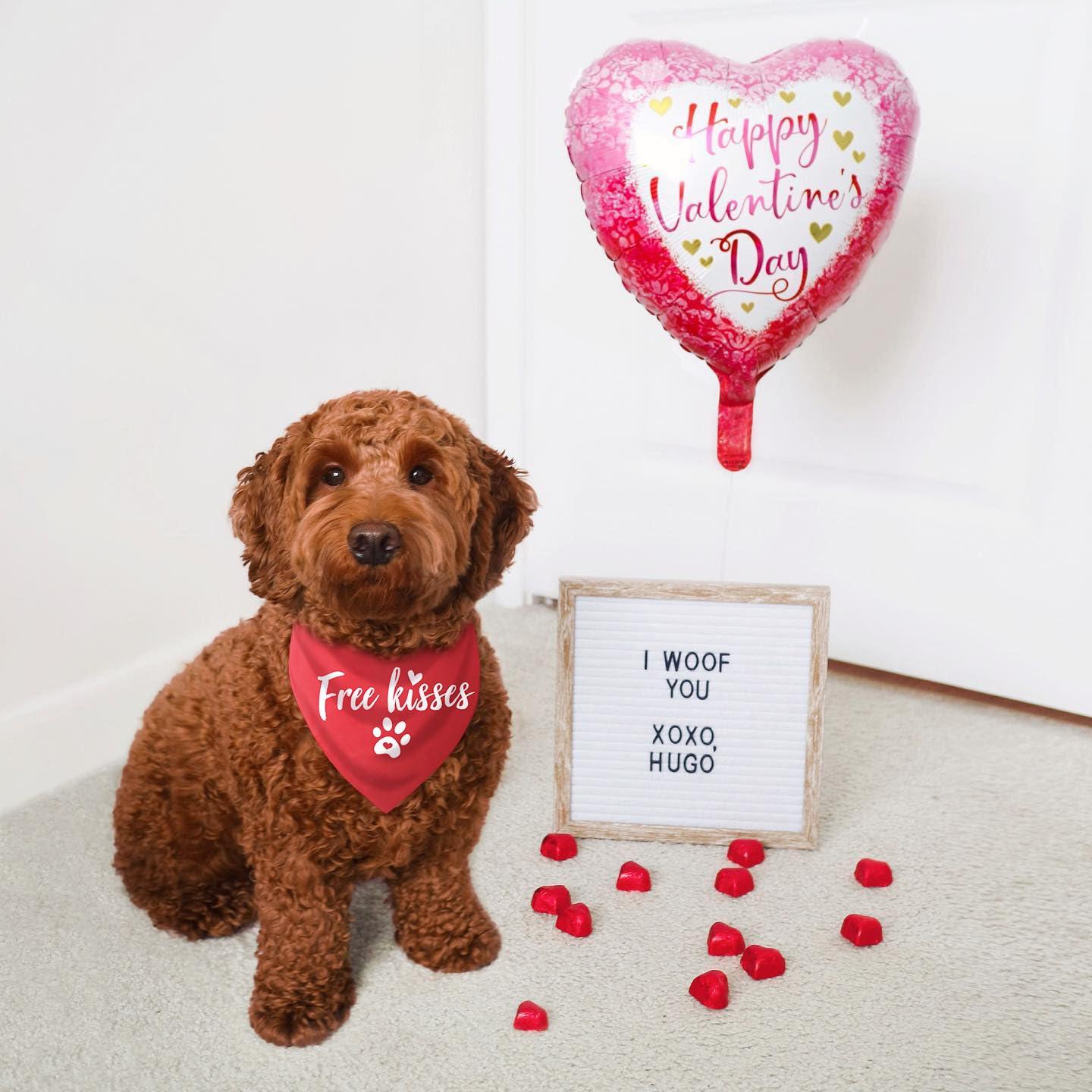 Valentines Day Bandana