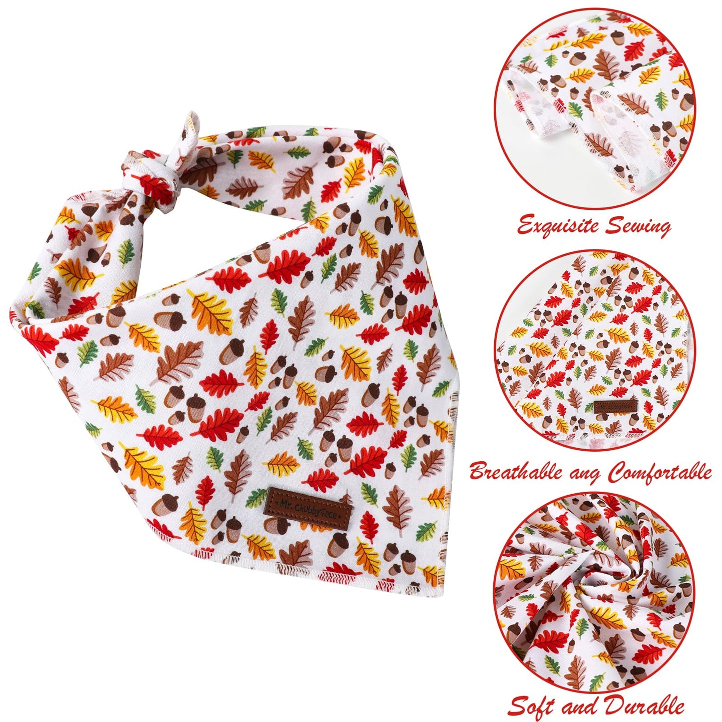 MR. CHUBBYFACE | Valentines Day Dog Bandana