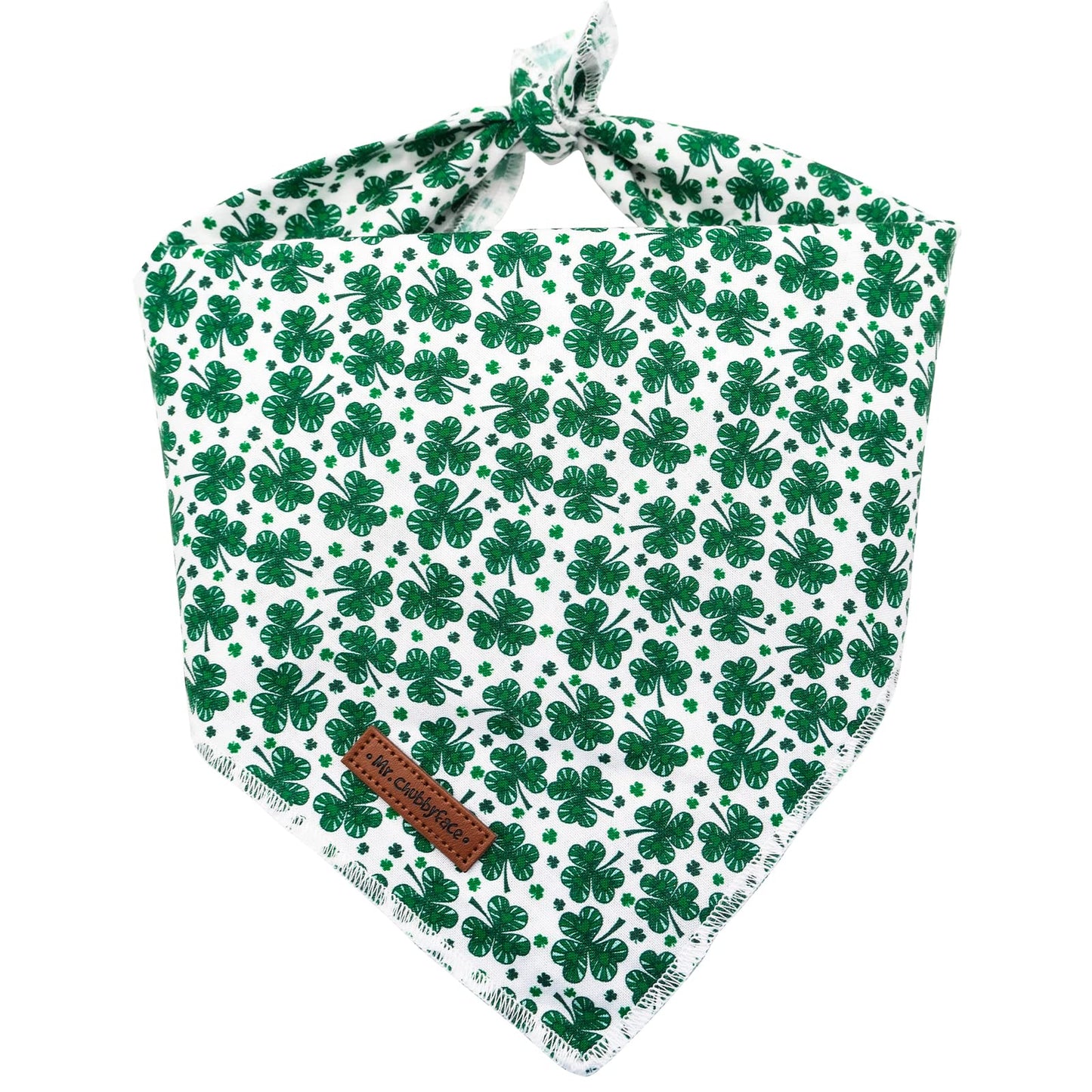 MR. CHUBBYFACE | Valentines Day Dog Bandana