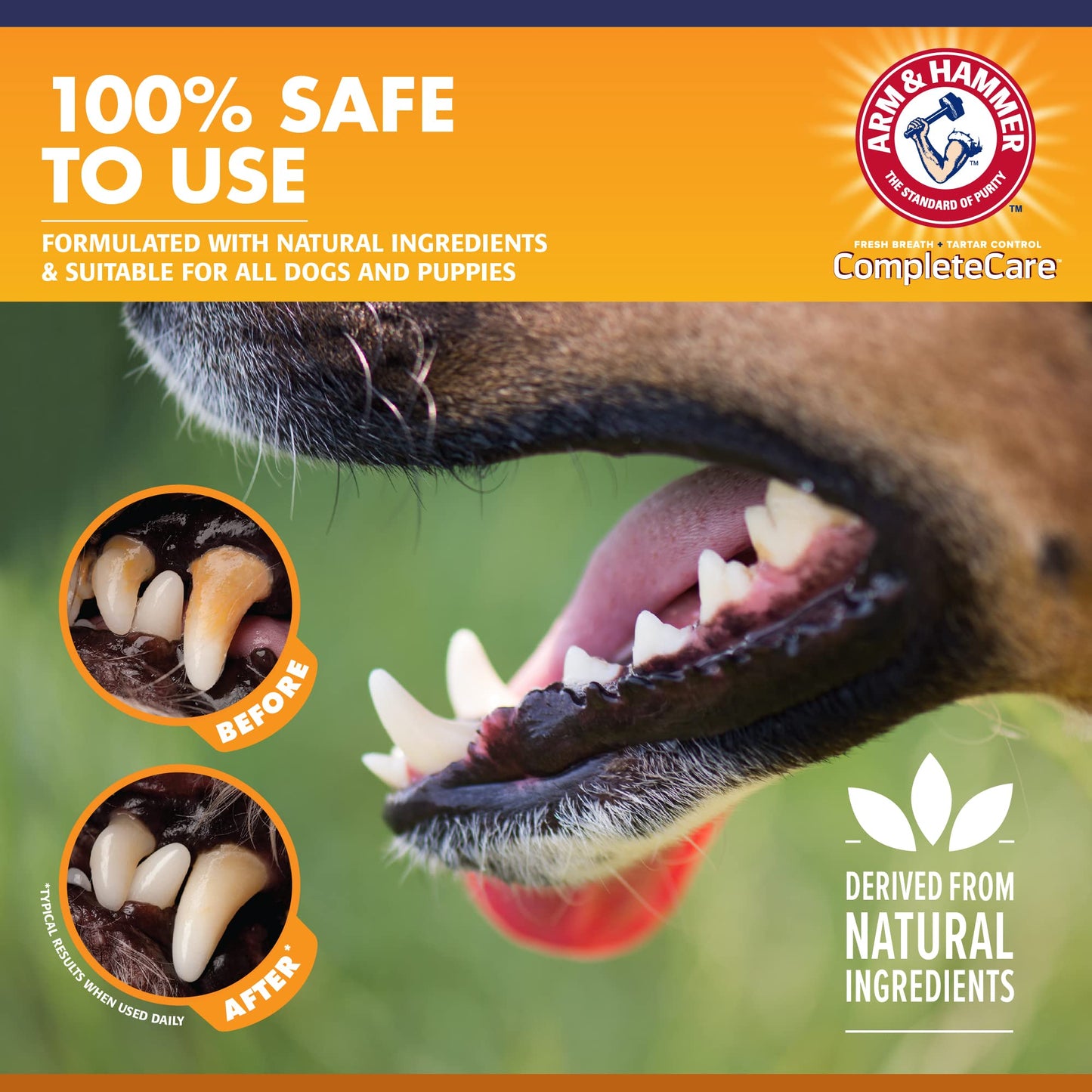 Arm & Hammer |  Puppy Dental Kit