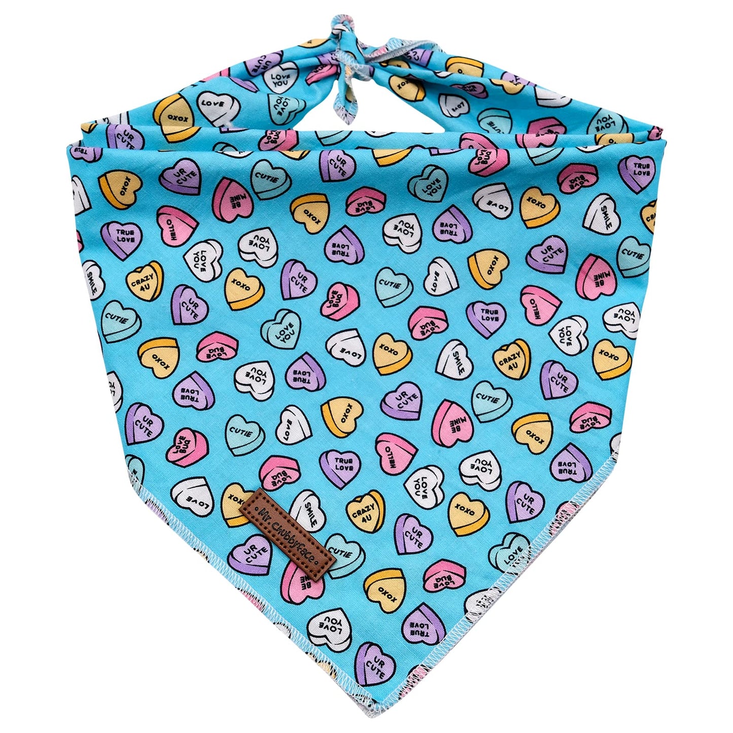 MR. CHUBBYFACE | Valentines Day Dog Bandana