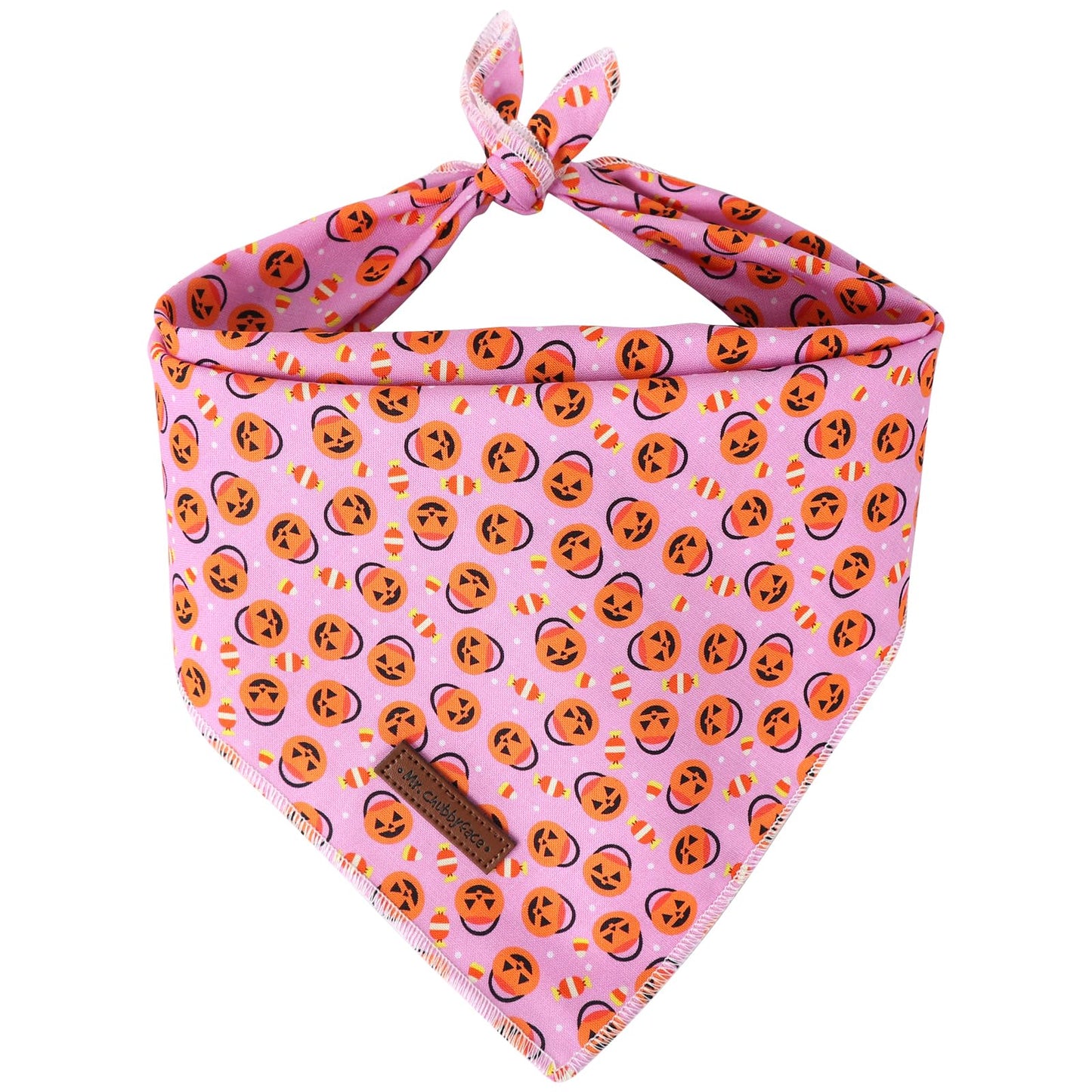 MR. CHUBBYFACE | Valentines Day Dog Bandana