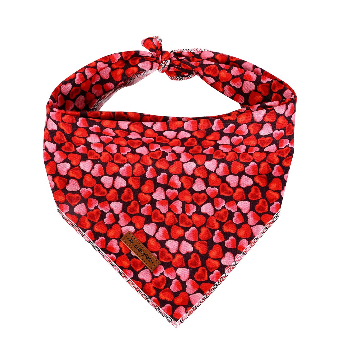 MR. CHUBBYFACE | Valentines Day Dog Bandana