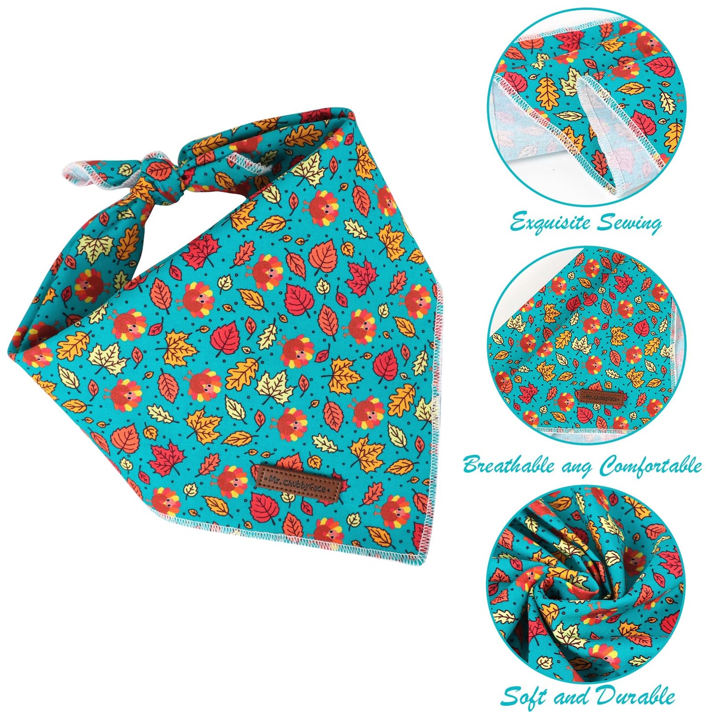 MR. CHUBBYFACE | Valentines Day Dog Bandana