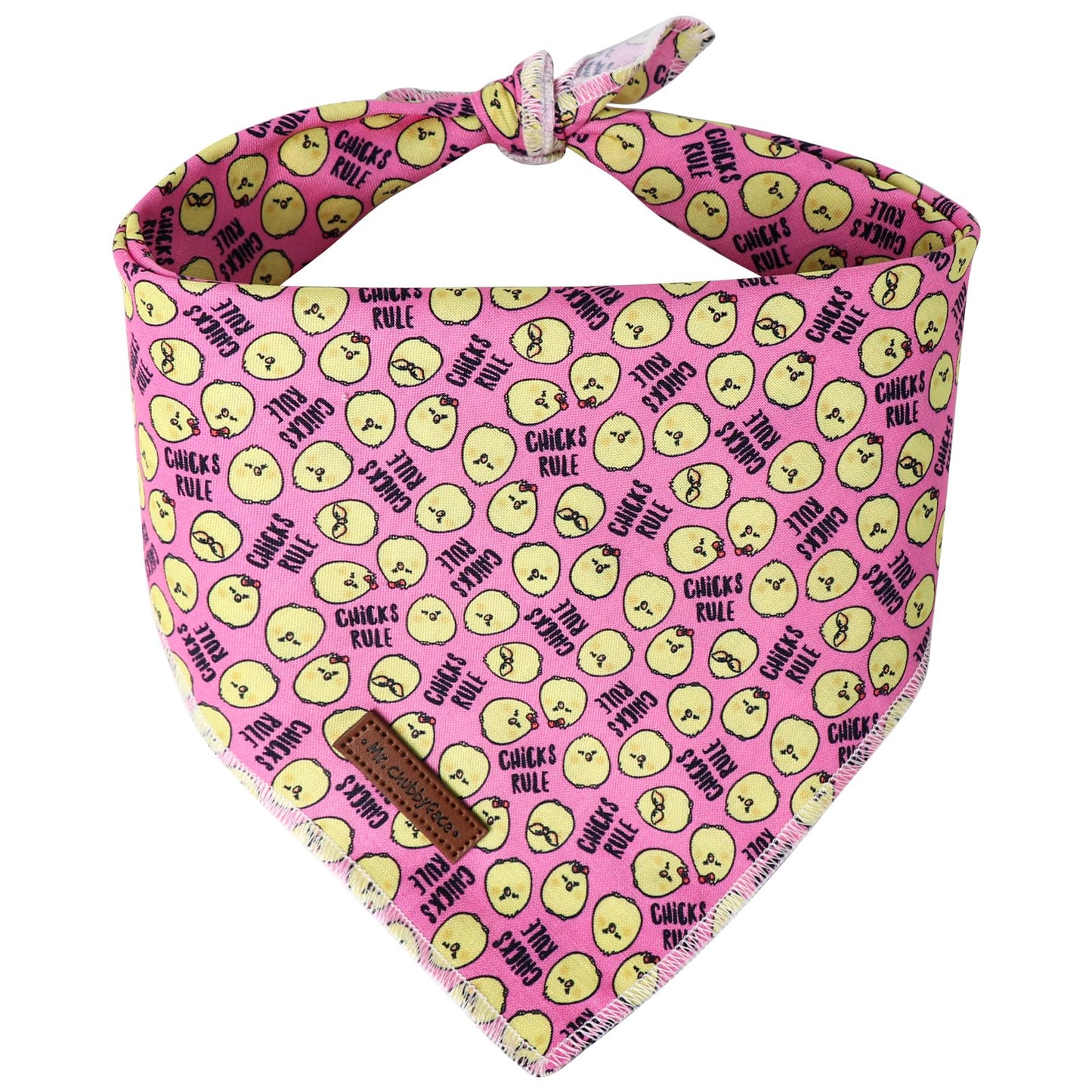 MR. CHUBBYFACE | Valentines Day Dog Bandana