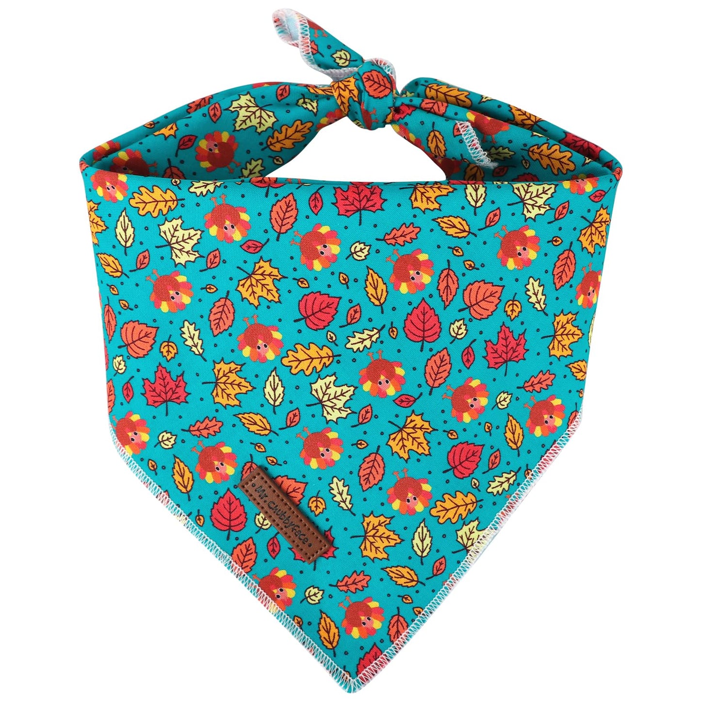 MR. CHUBBYFACE | Valentines Day Dog Bandana