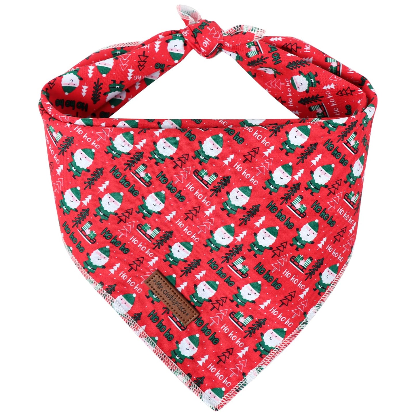 MR. CHUBBYFACE | Valentines Day Dog Bandana