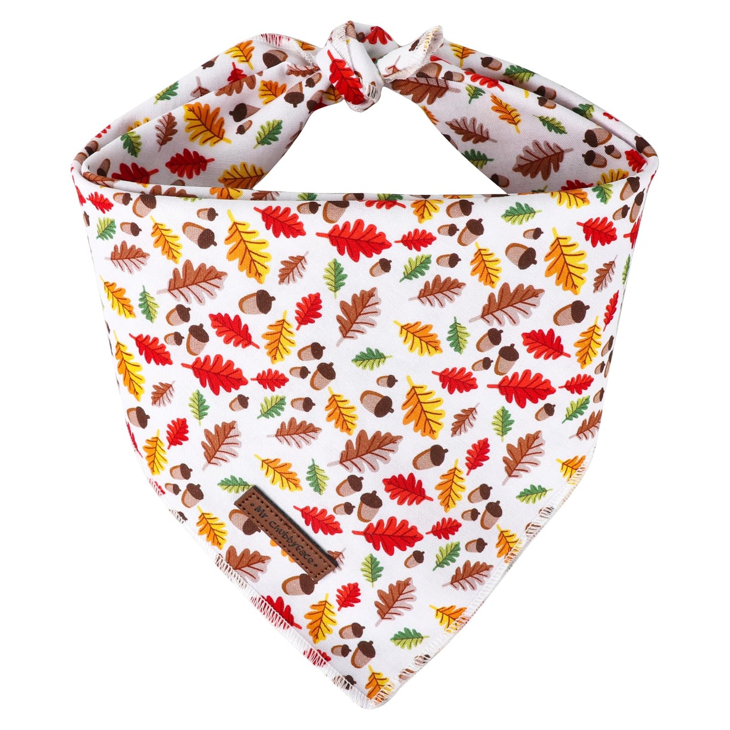 MR. CHUBBYFACE | Valentines Day Dog Bandana